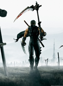 077758_-ninja_gaiden_2__art__voin__nindzya__kosa__plasch__pole__bitva__geroi__katany__mechi